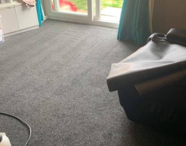 Professional Carpet Cleaning